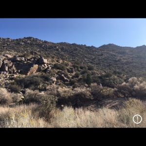 Meet your Posher, Theresa